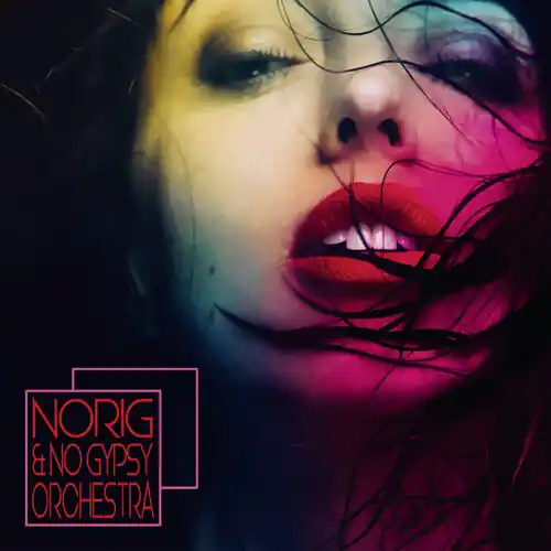 Norig & No Gypsy Orchestra Big Sale