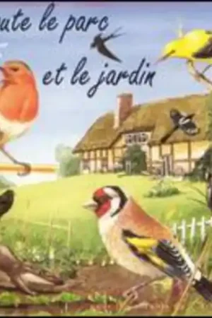 J'Coute Le Parc Et Le Jardin: Sons De La Nature Wholesale