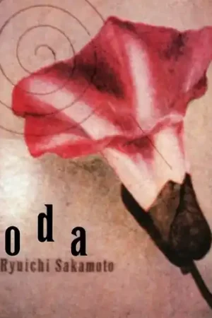 Coda Price Drop