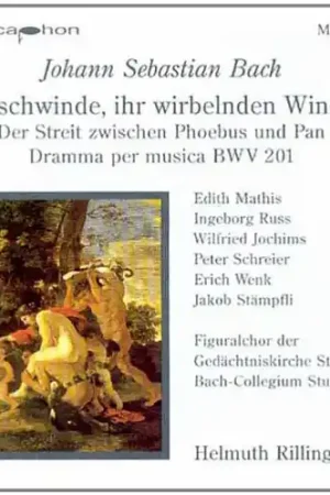Geschwinde Ihr Wirbelnden Winde Bulk Order