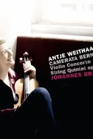 Today Only Brahms: Violin Cto / String Quintet Op 111