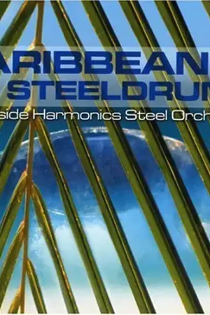 Professional Grade Caribbean Steeldrums