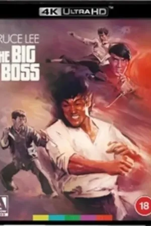 Big Boss - Limited All-Region UHD Hassle-Free Returns