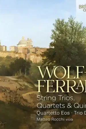 String Trios Quartets & Quintet Bargain
