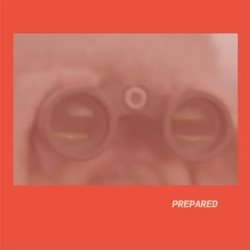 Limited Edition Prepared - Rose Pink Vinyl (Uk)