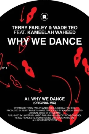 Why We Dance Original