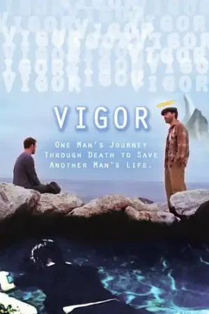 Top Rated Vigor