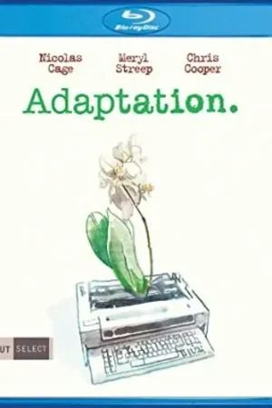 Adaptation. Reduced Price