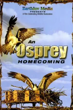 An Osprey Homecoming Super Sale