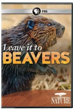 Don’t Miss Out Nature: Leave It to Beavers