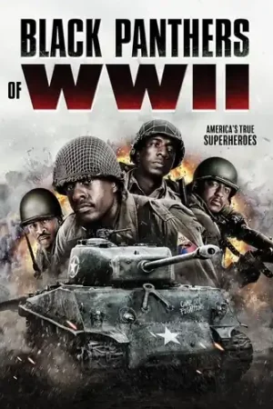 Black Panthers of WWII Super Sale