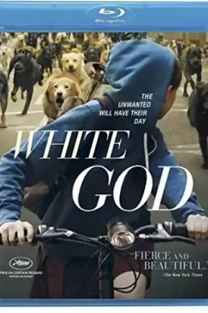 Best Choice White God