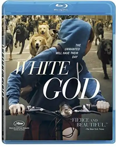 Best Choice White God