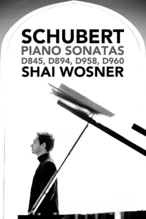Discount Schubert: Piano Sonatas D845, D894, D958 & D960