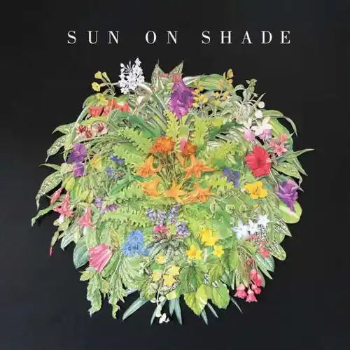 Sun On Shade Deal