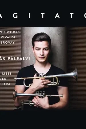 Seasonal Sale Tamas Palfalvi - Agitato