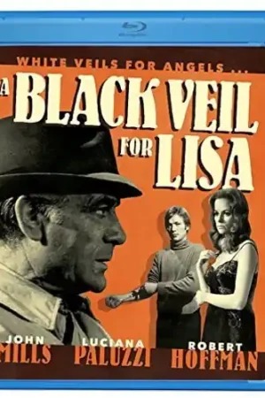 A Black Veil for Lisa Fast Shipping