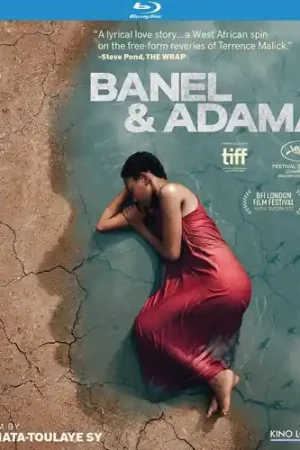 Banel & Adama Best Seller
