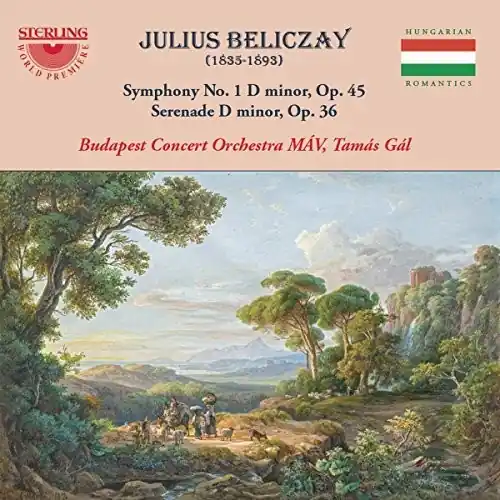 Don’t Miss Out Symphony 1 in D Minor 45 / Serenade in D Minor 36