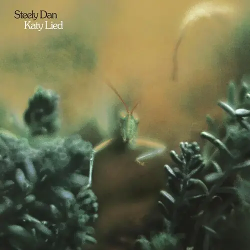 Katy Lied Genuine
