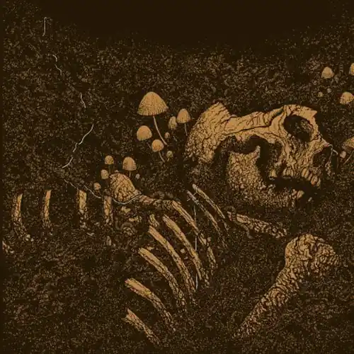 Aokigahara Jukai Limited Time
