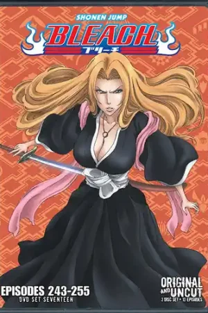 Save Now Bleach: Uncut Set 17