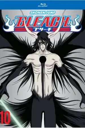 Save Now Bleach (TV) Set 10