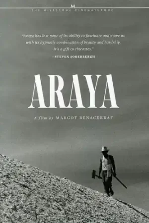 Araya Exclusive Offer