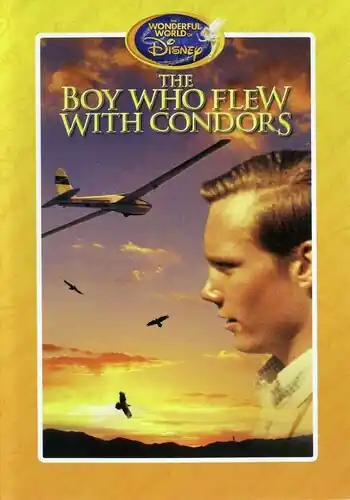 Bulk Order Boy Who Flew With Condors