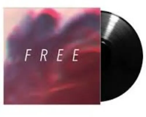 Free [Vinyl] Warranty Included