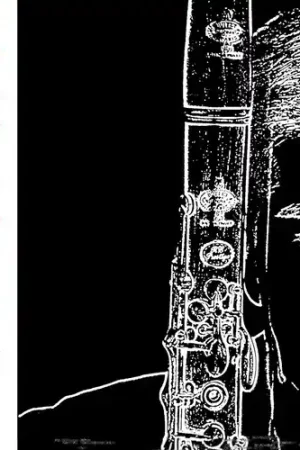 Solo Clarinet Budget