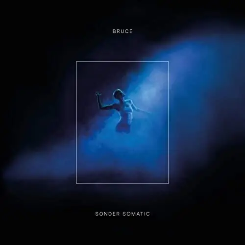 Top Pick Sonder Somatic