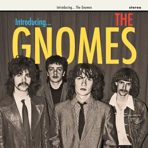 Order Now Gnomes