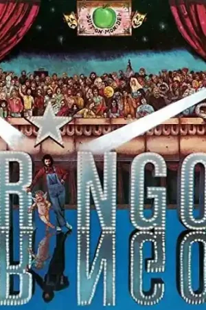 Ringo Crafted