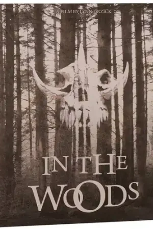 In The Woods Budget