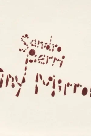Tiny Mirrors Best Choice