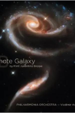 Remote Galaxy Next Day Delivery