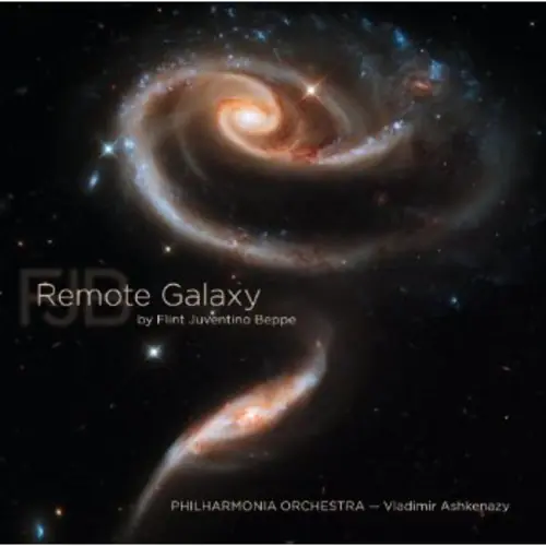 Remote Galaxy Next Day Delivery