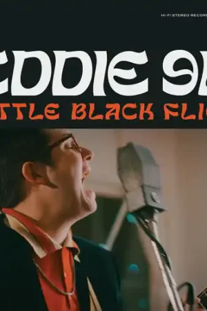 Little Black Flies Exclusive