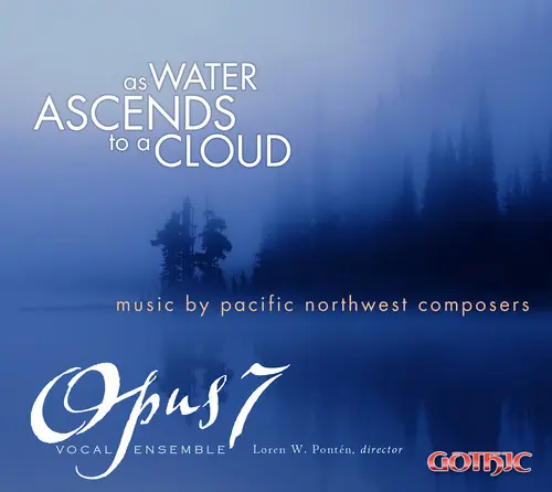 Professional Grade As Water Ascends to a Cloud