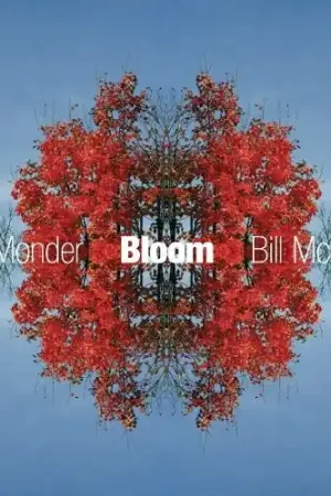 No Minimum Order Bloom