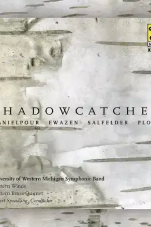 Time-Limited Shadowcatcher