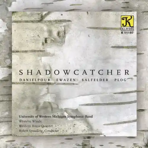 Time-Limited Shadowcatcher