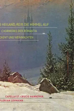 Professional Grade O Heiland Reiss Die Himmel Au / Various