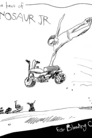 Free Delivery Ear Bleeding Country: The Best Of Dinosaur Jr.