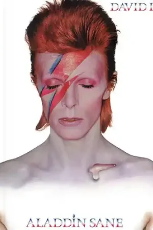 Special Discount Aladdin Sane: 50th Anniversary [Half Speed Master LP]