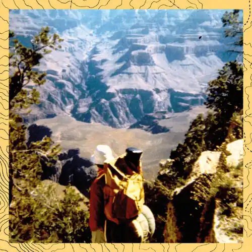 Music Language & Environment: Environmental Sound One Day Deal