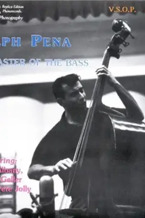 Master of Bass Affordable