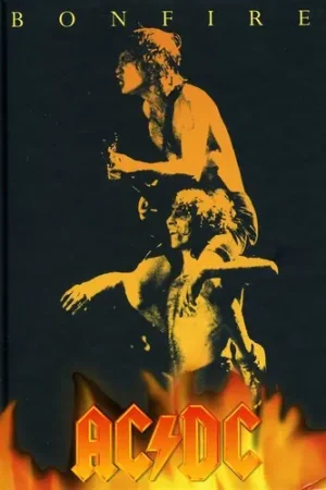 Bonfire Box [Import] Editor’s Pick
