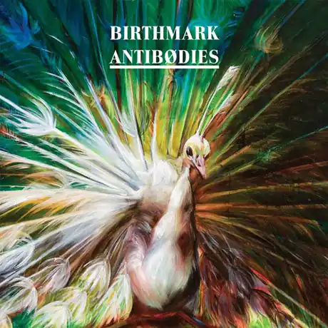Today Only Antibodies